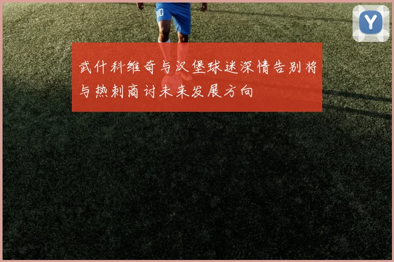 武什科维奇与汉堡球迷深情告别将与热刺商讨未来发展方向