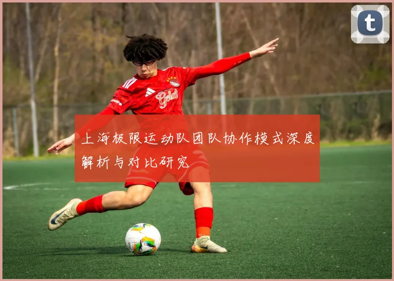 上海极限运动队团队协作模式深度解析与对比研究