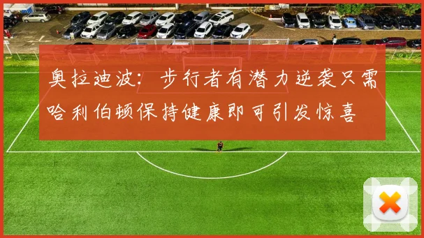 奥拉迪波：步行者有潜力逆袭只需哈利伯顿保持健康即可引发惊喜
