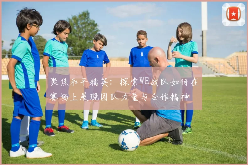 聚焦和平精英：探索WE战队如何在赛场上展现团队力量与合作精神